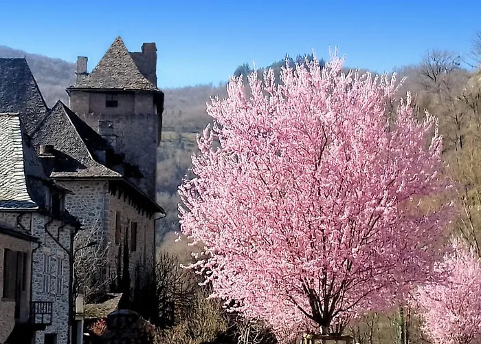 L'oustalou - Entre Lot Et Truyère Appartamento Entraygues-sur-Truyère